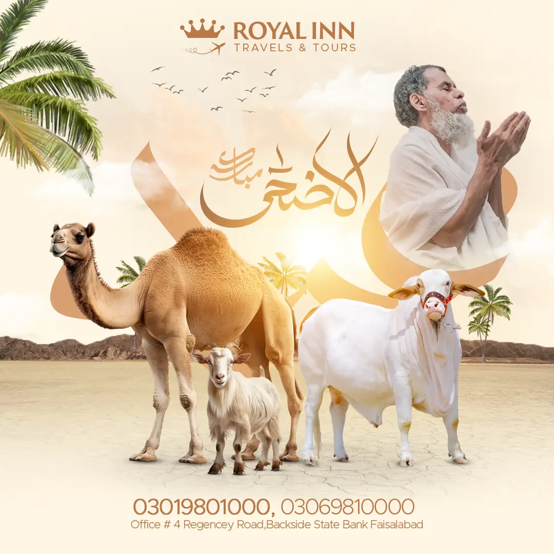 Travel & Umrah Campaign Archive project visual